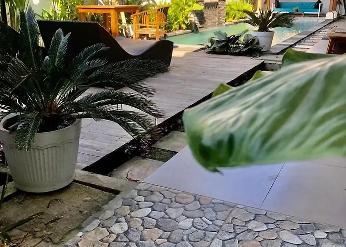 Lotus House Keramas Lebih