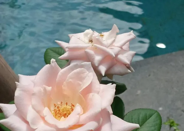 Lotus House Keramas Lebih